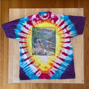 Vintage Arlo Guthrie Tour T-shirt 1988 Single Stitch Tie Dye XL